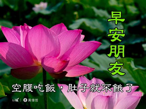 門口向東南|大師教你五妙招正確測量屋宅風水方位(圖)